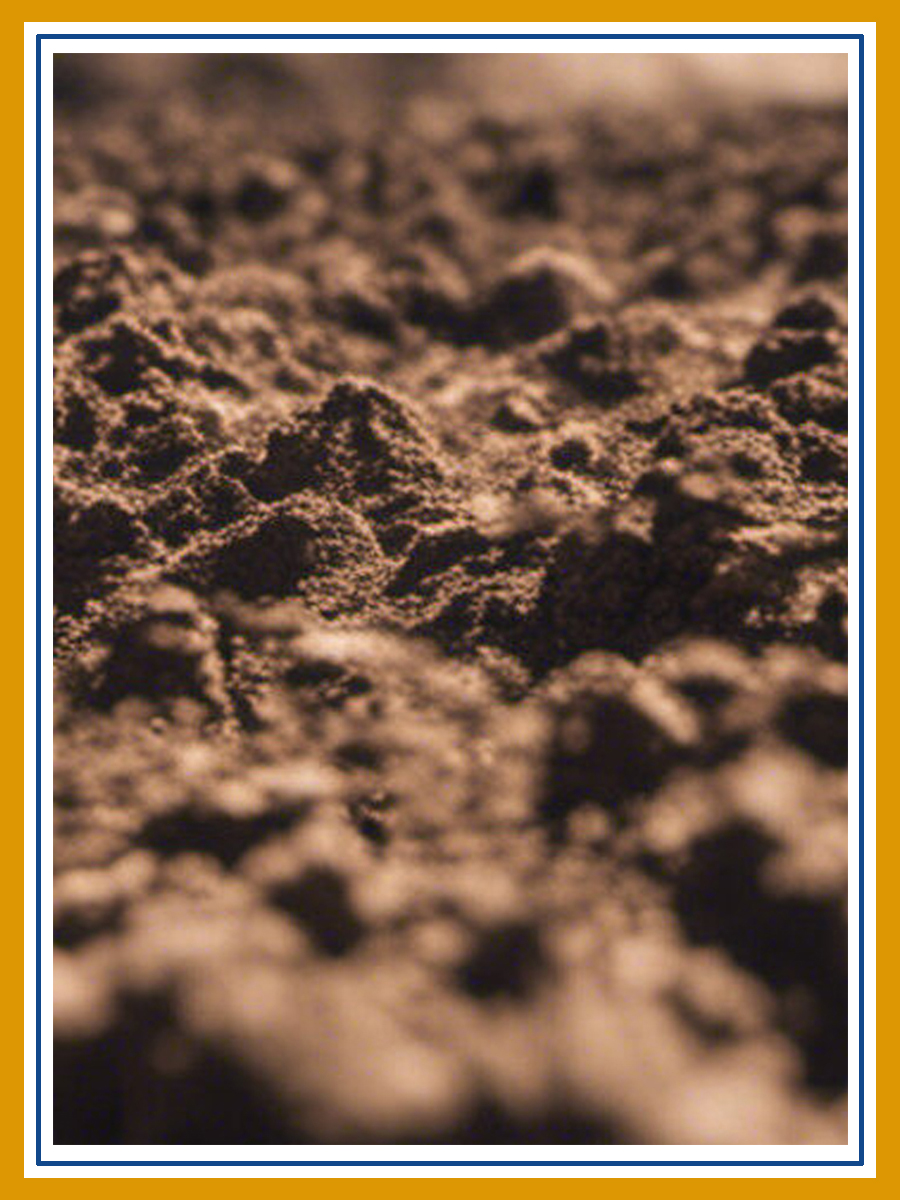 Earth Earth 1